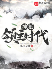 神袛领主时代小